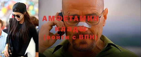 шишки Арсеньев