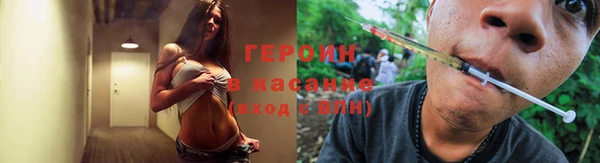 твердый Аркадак