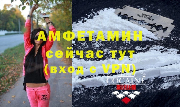 твердый Аркадак
