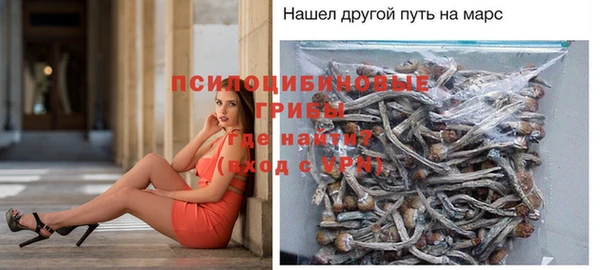 твердый Аркадак