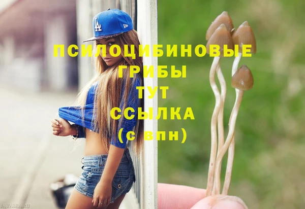 тгк Алзамай