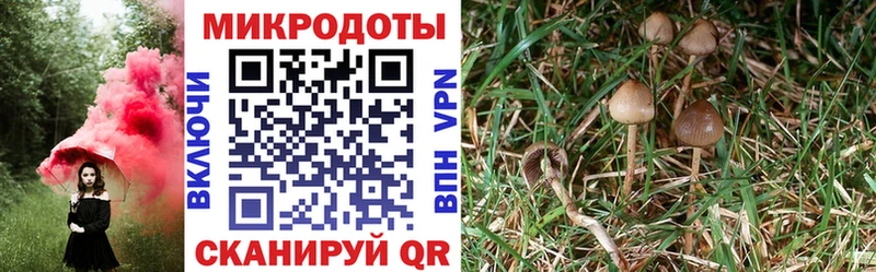 Псилоцибиновые грибы Magic Shrooms Новоузенск